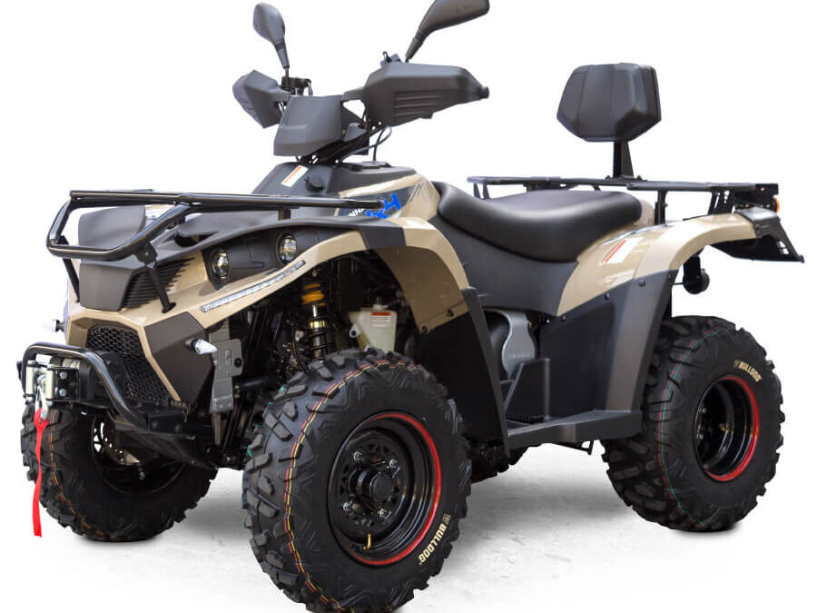 300 EFi 4×4